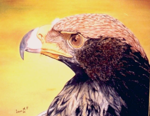 Aguia
