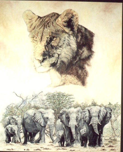 Cabeca De Leoa