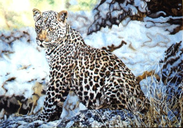 Leopardo