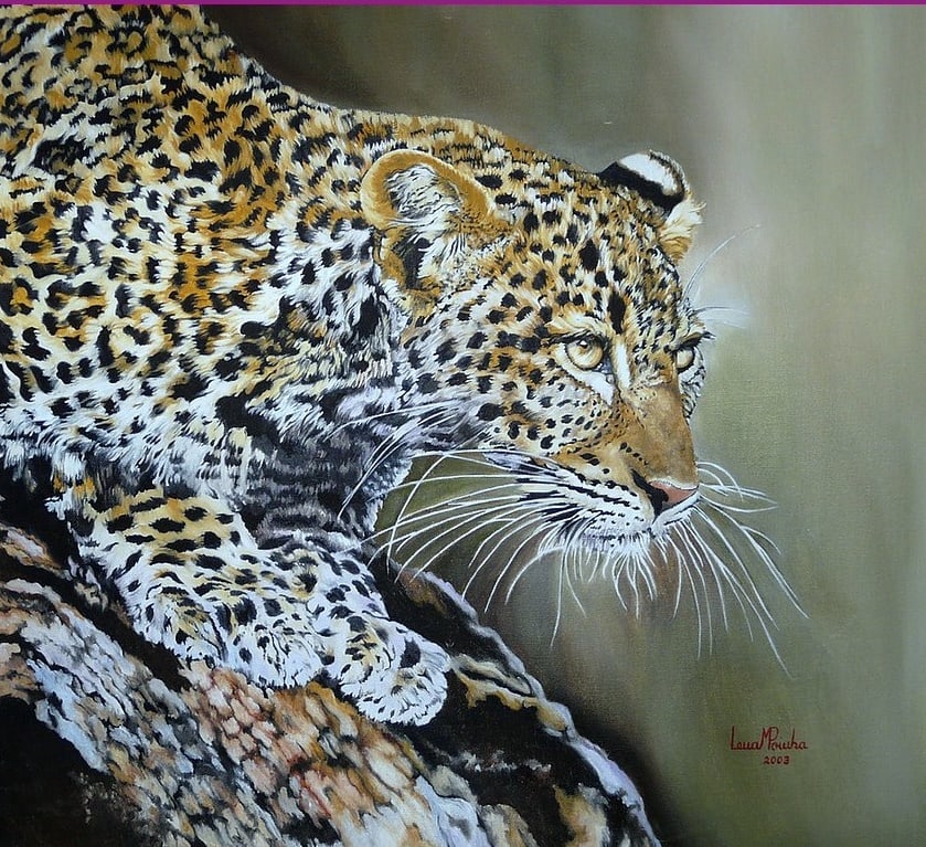 Leopardo Descendo