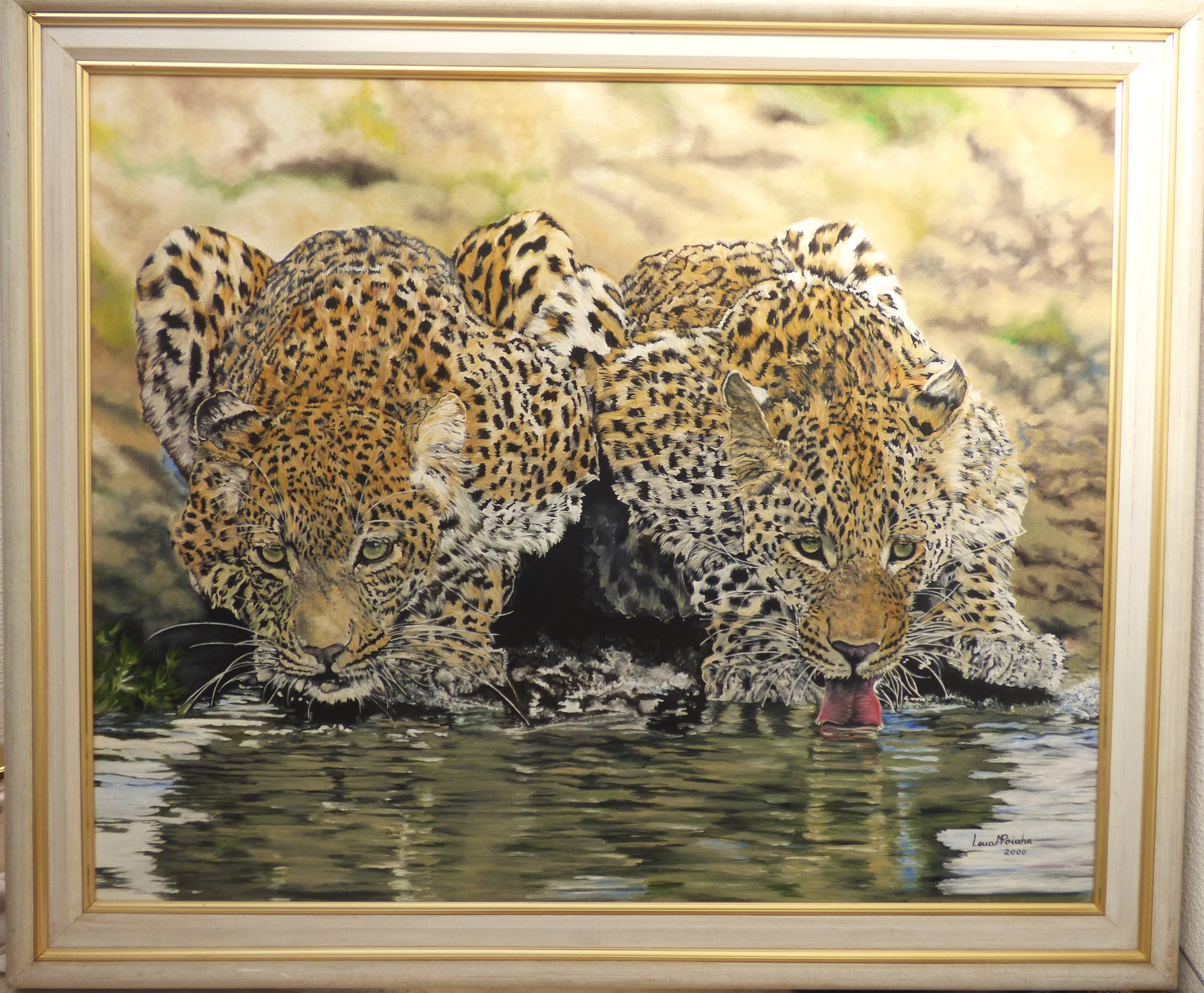 Leopards Drinking