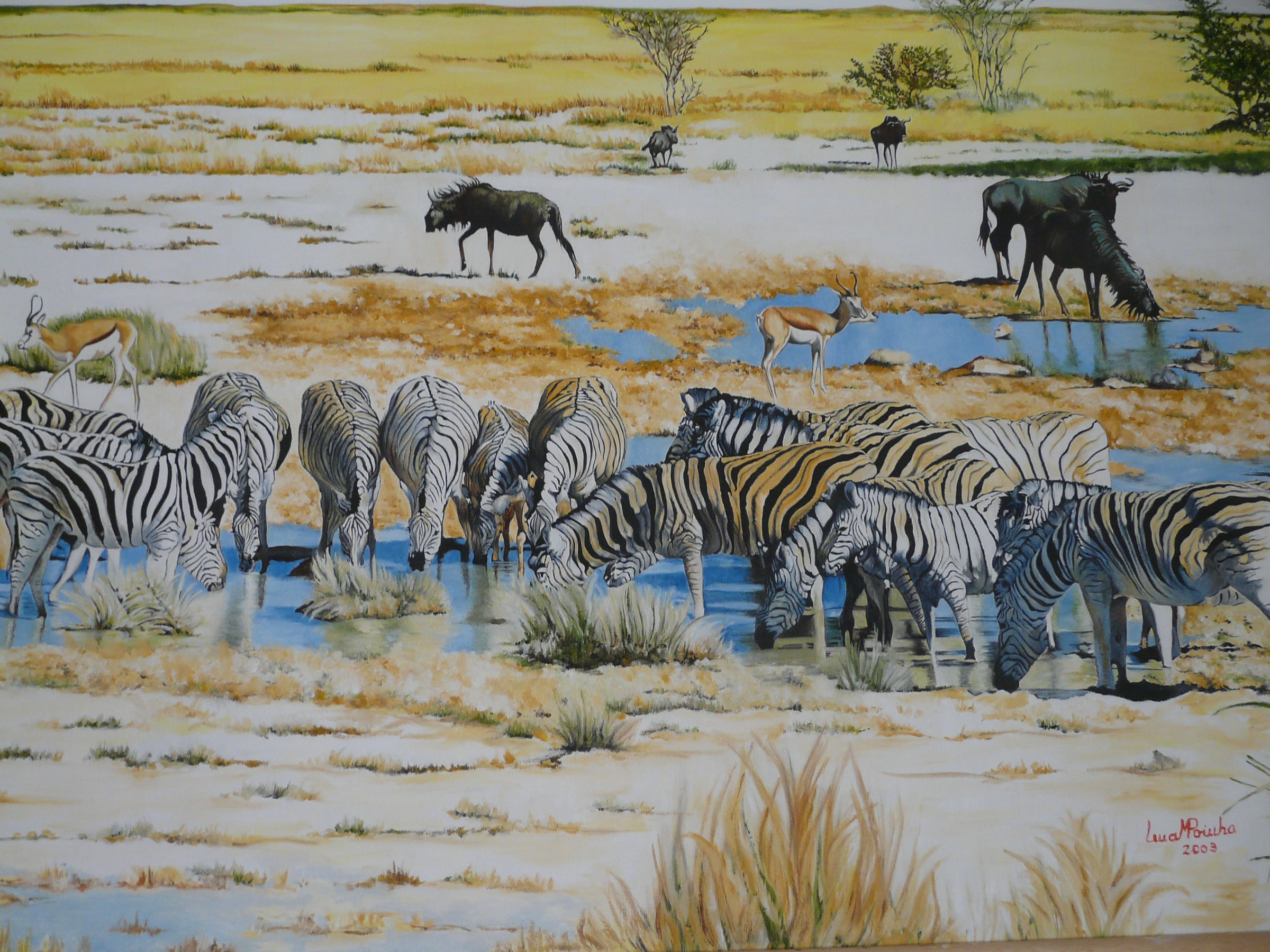Waterhole