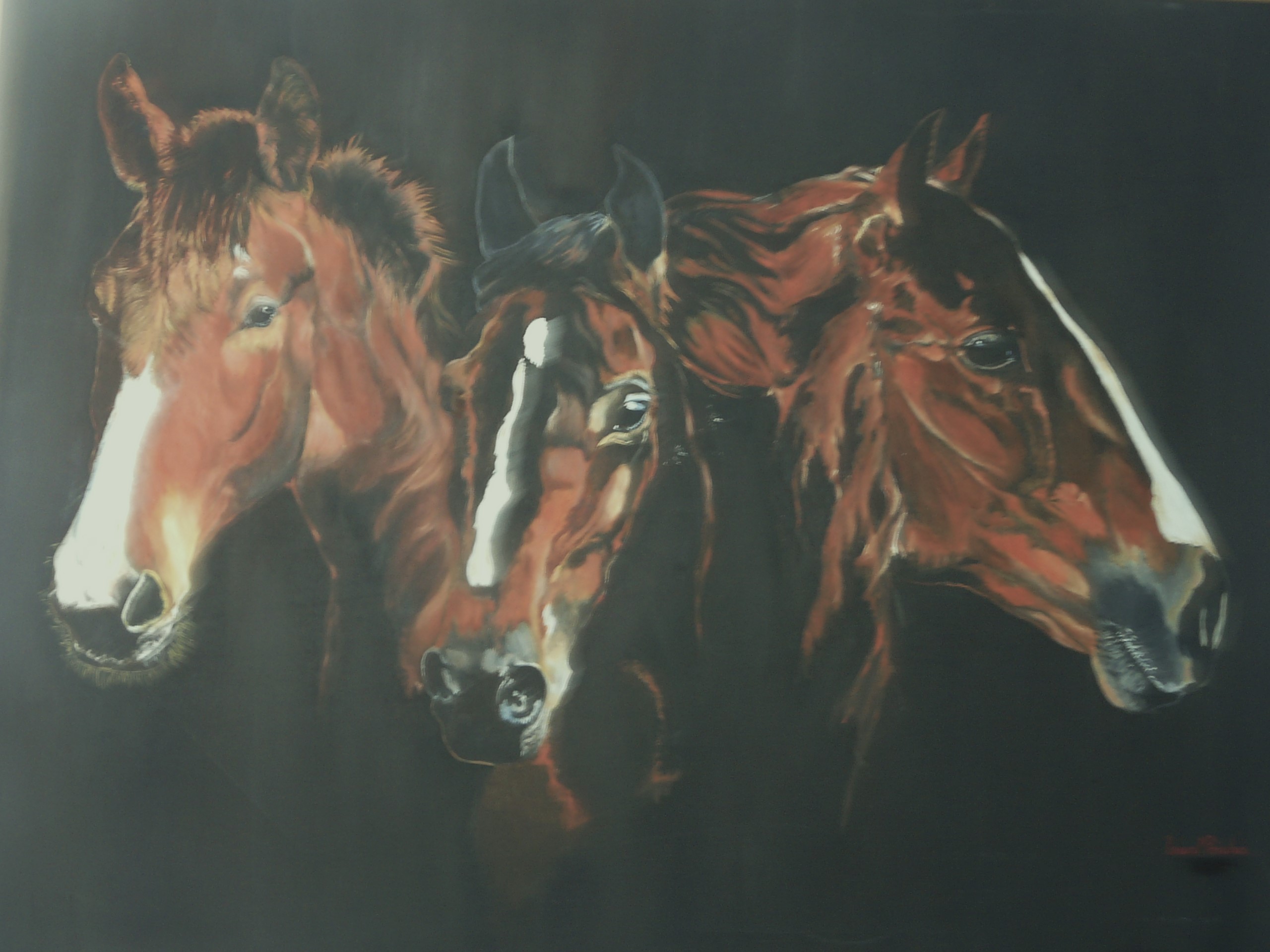 Cabecas De Cavalo 70X90cms