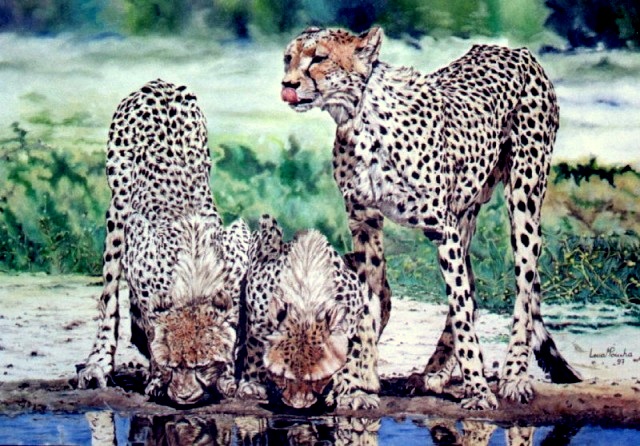 Chetas Bebendo 70x100cms