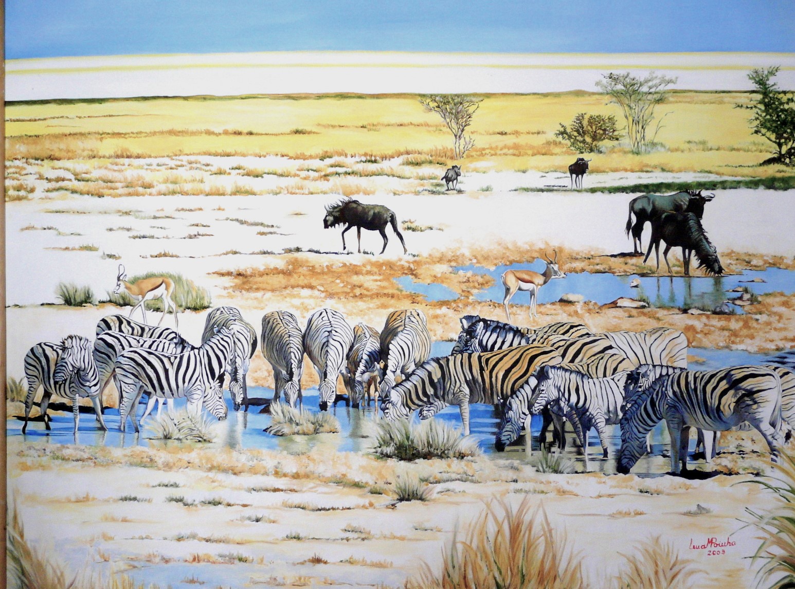 Etosha 70x100cms
