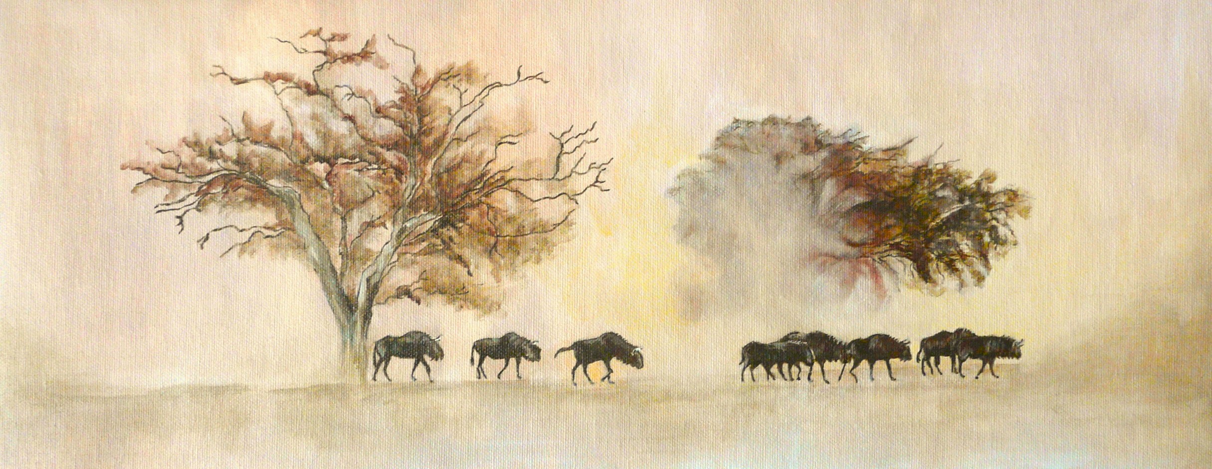 Gnus 20x50cms