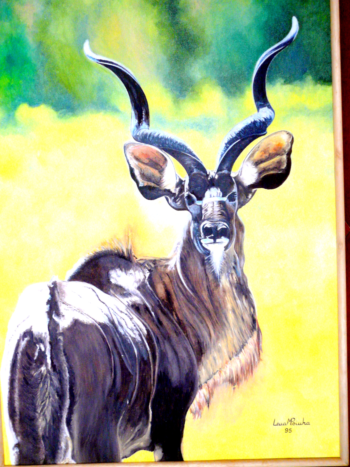 Kudu 70x50cms