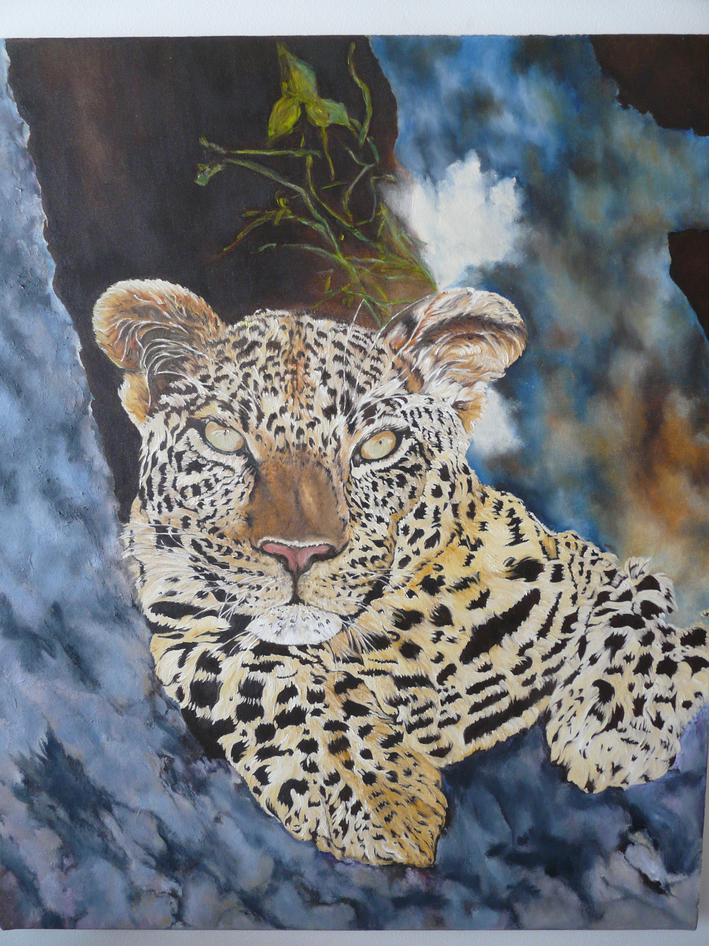Leopardo 60x40cms