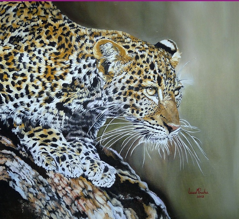 Leopardo Descendo 50x50cms