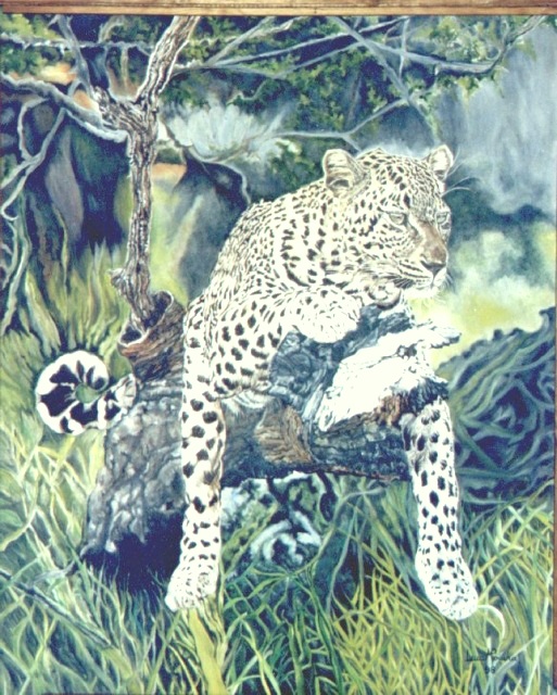 Leopardo Relaxing 100x80cms