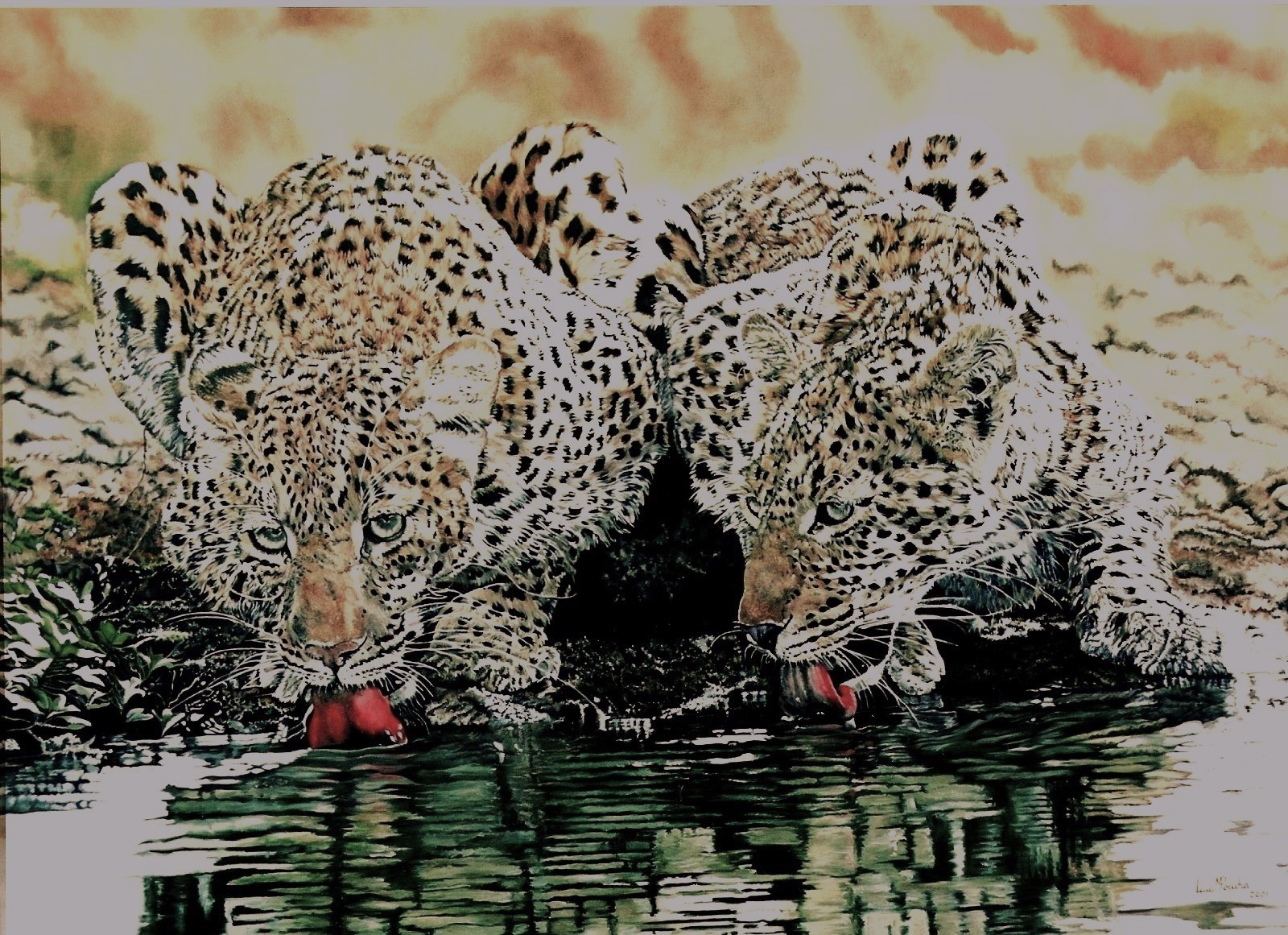 Leopardos Drinking 80x100cms