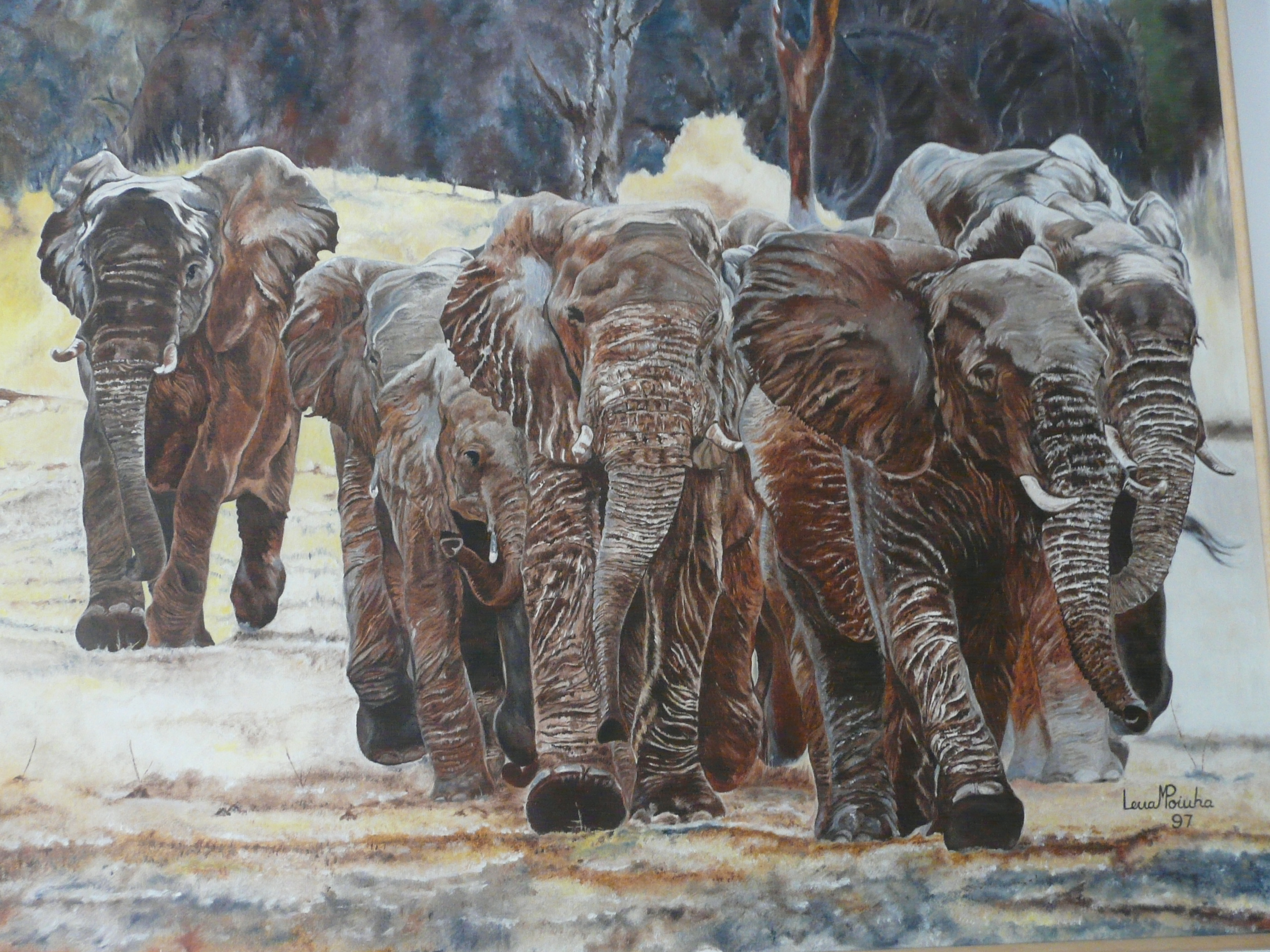 Manada De Elefantes 100x120cms