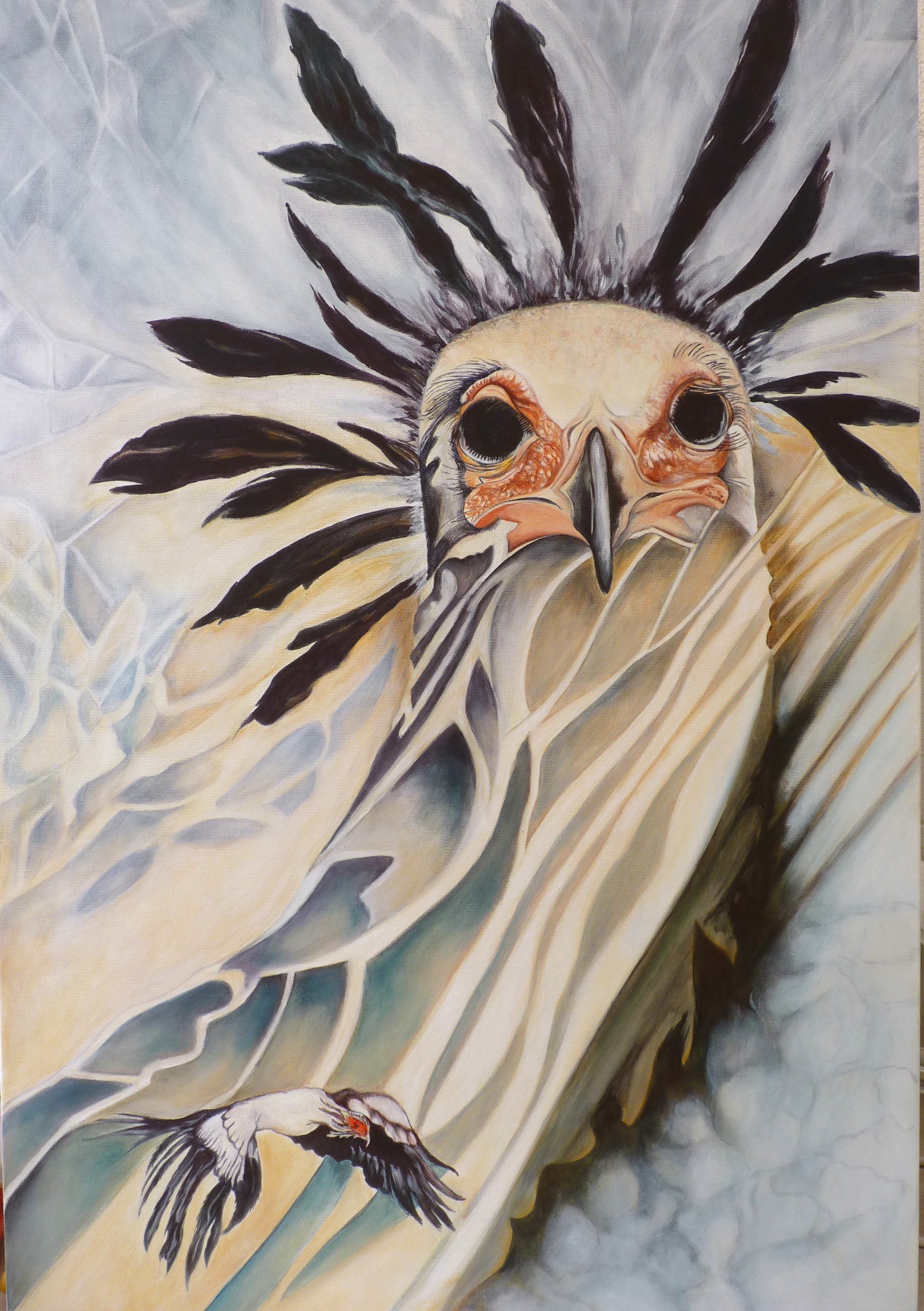 Secretary Bird 70x50cms