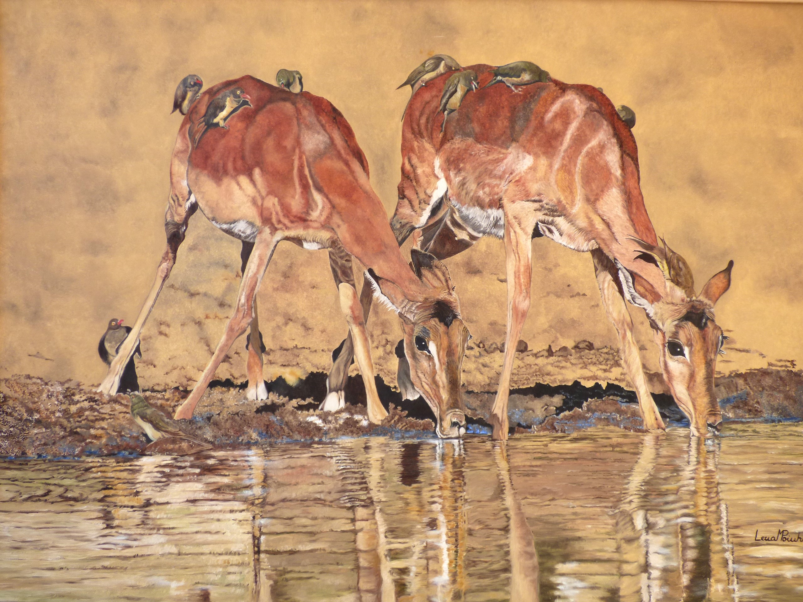 Tom Sobre Tom 70x100cms