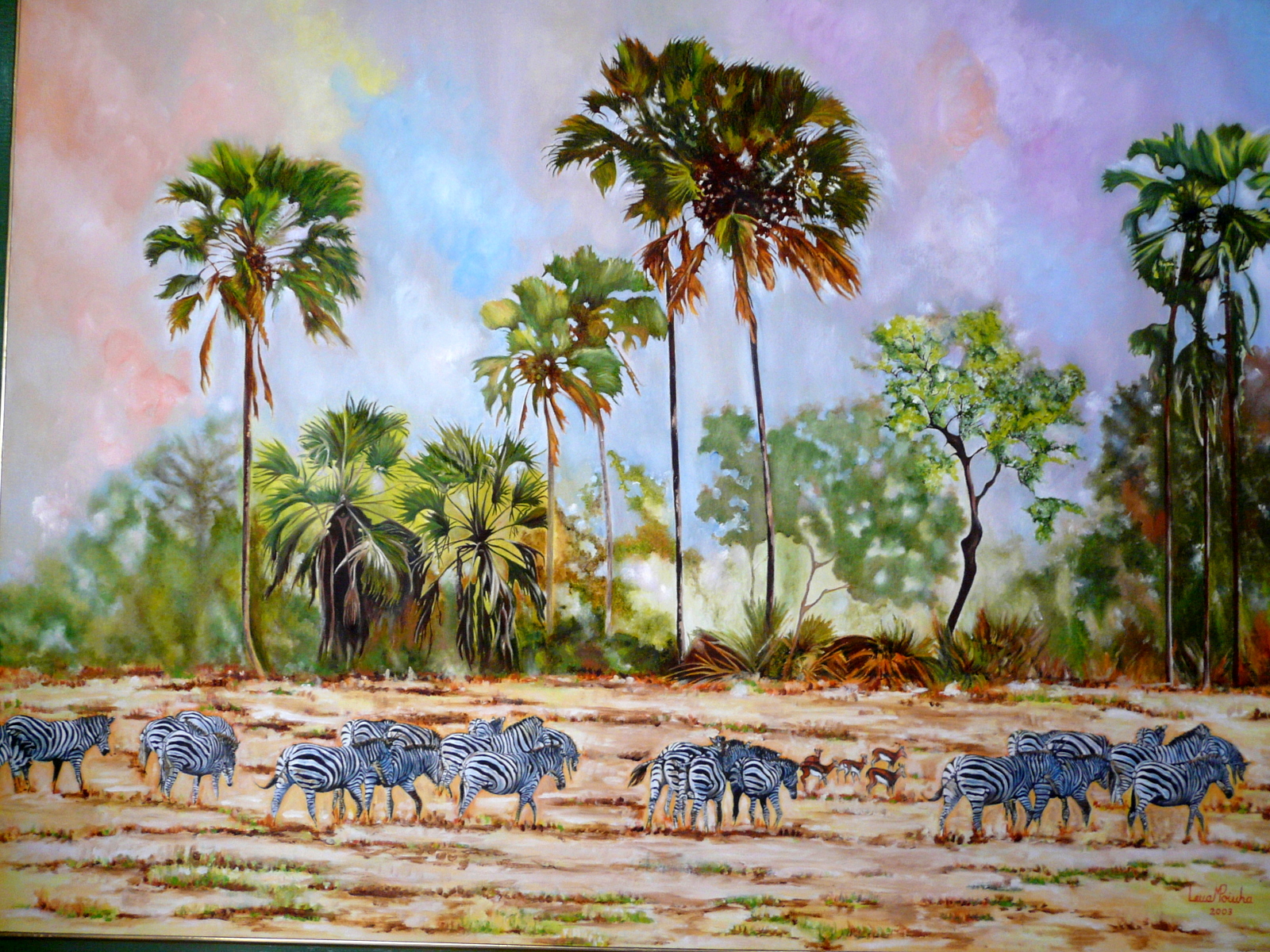 Zebras In Savanah 70x100cms